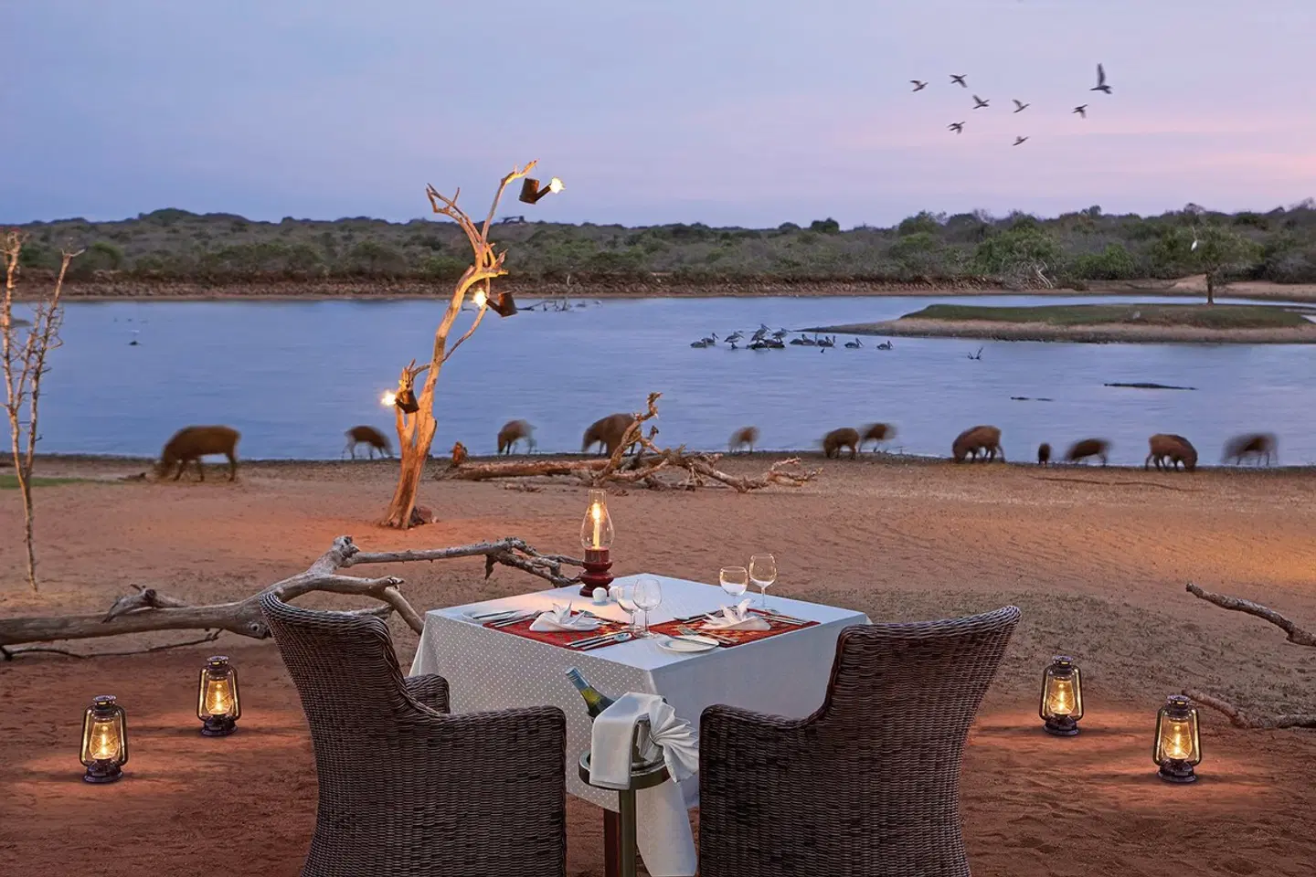 Cinnamon Wild Yala Restaurant
