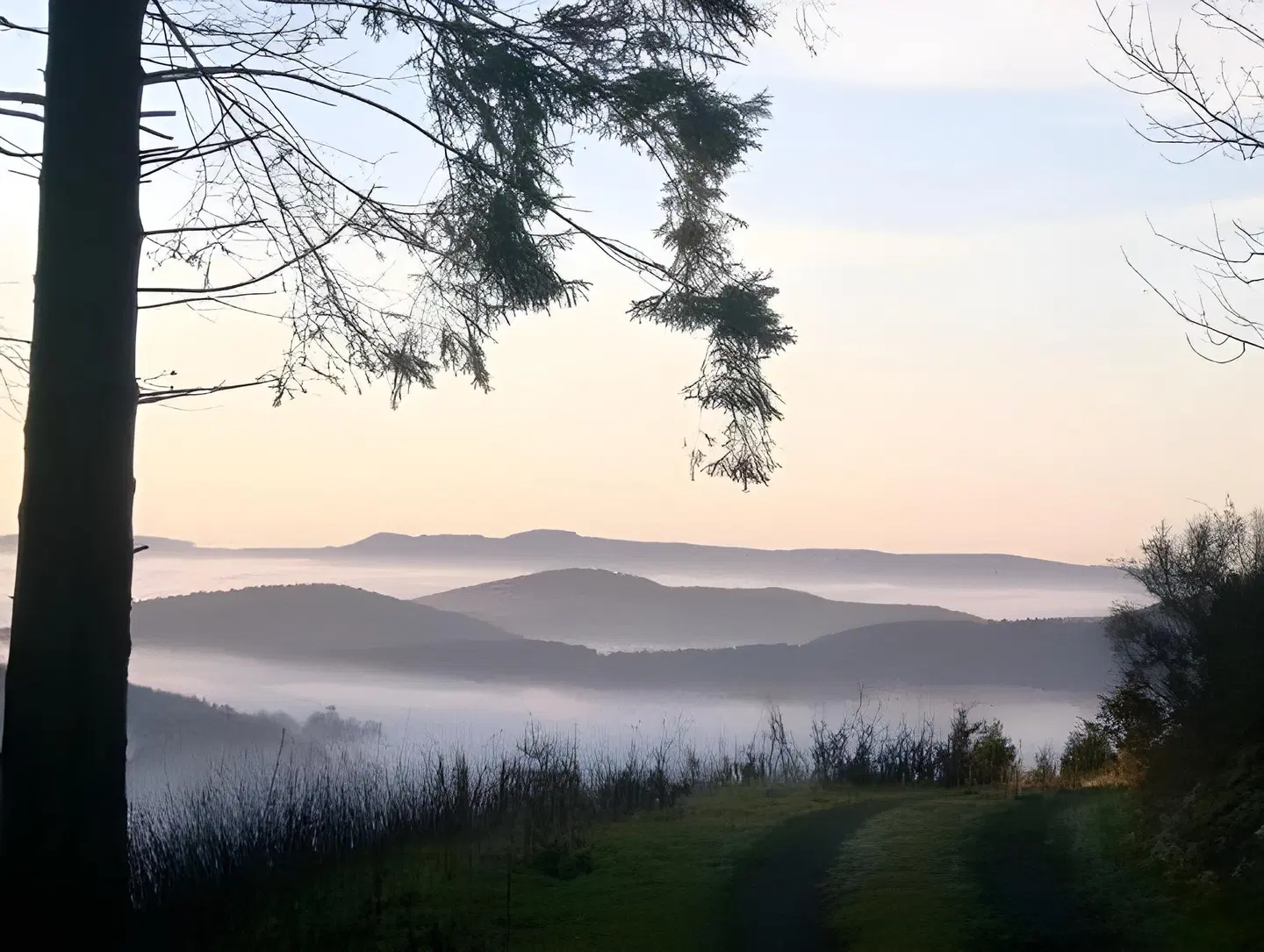 Wüllner's Landgasthof LANDSCAPE