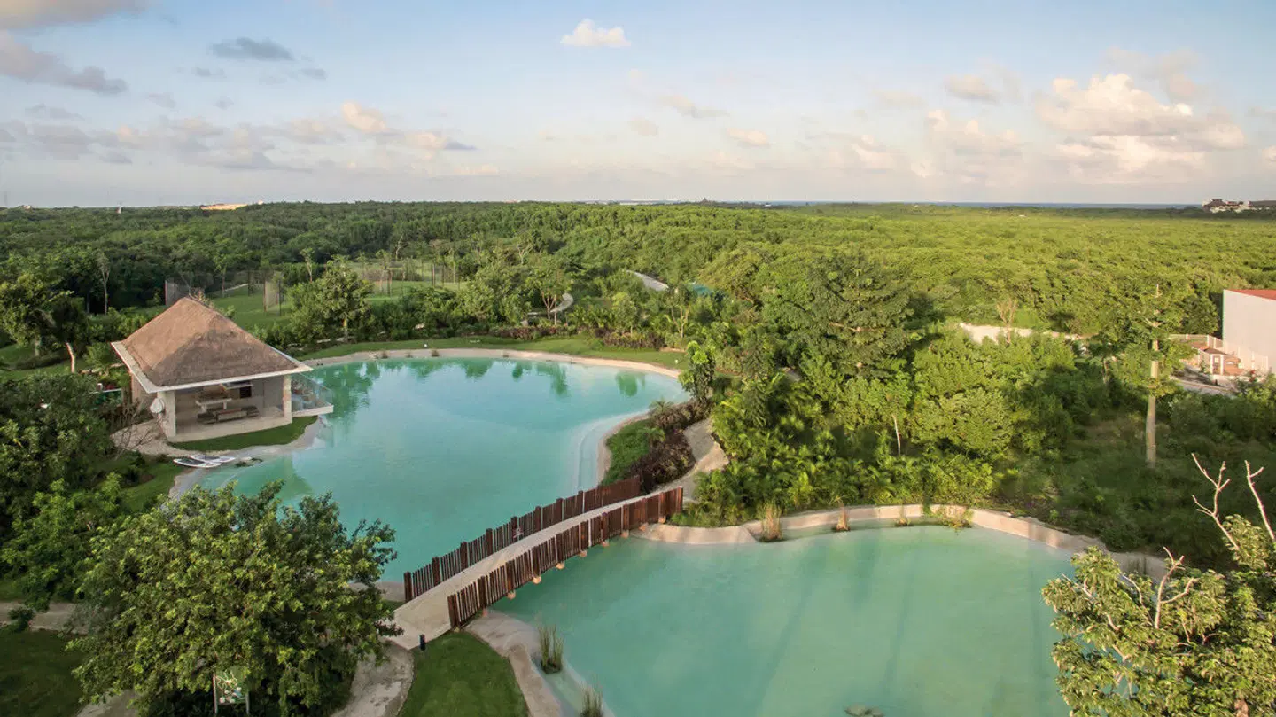 Platinum Yucatan Princess LANDSCAPE
