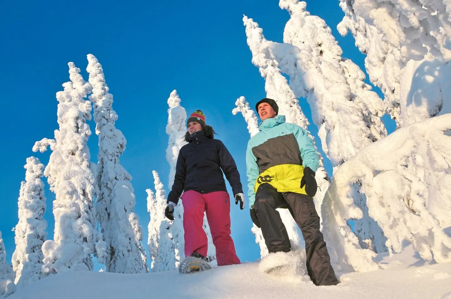 Winterabenteuer in Vuokatti - Vuokattinmaa Holiday Apartments SPORTS_AND_LEISURE