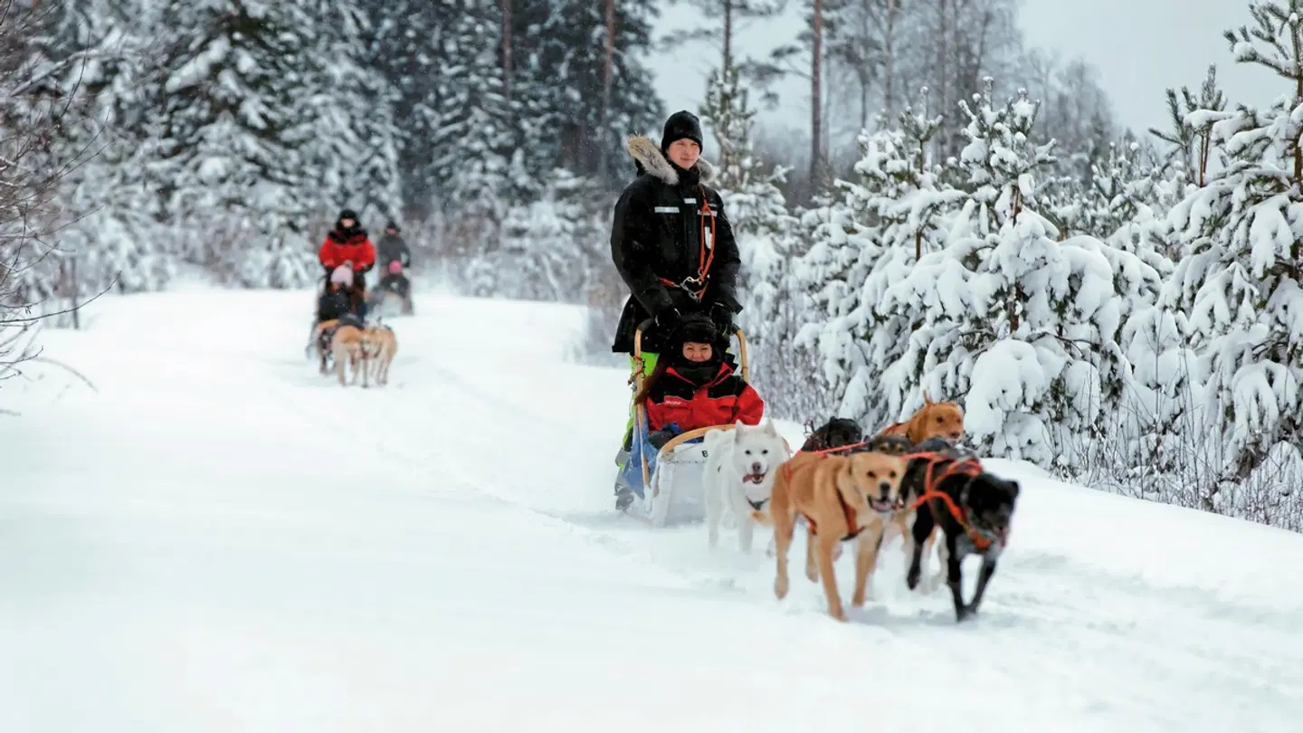 Winterabenteuer in Vuokatti - Vuokattinmaa Holiday Apartments SPORTS_AND_LEISURE