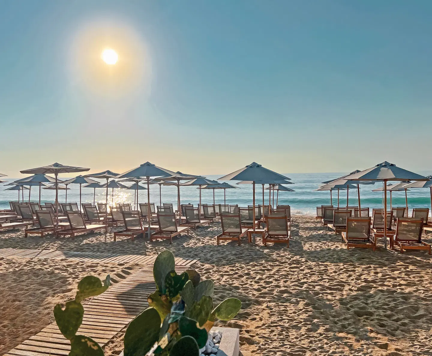 GRIFID Metropol Strand