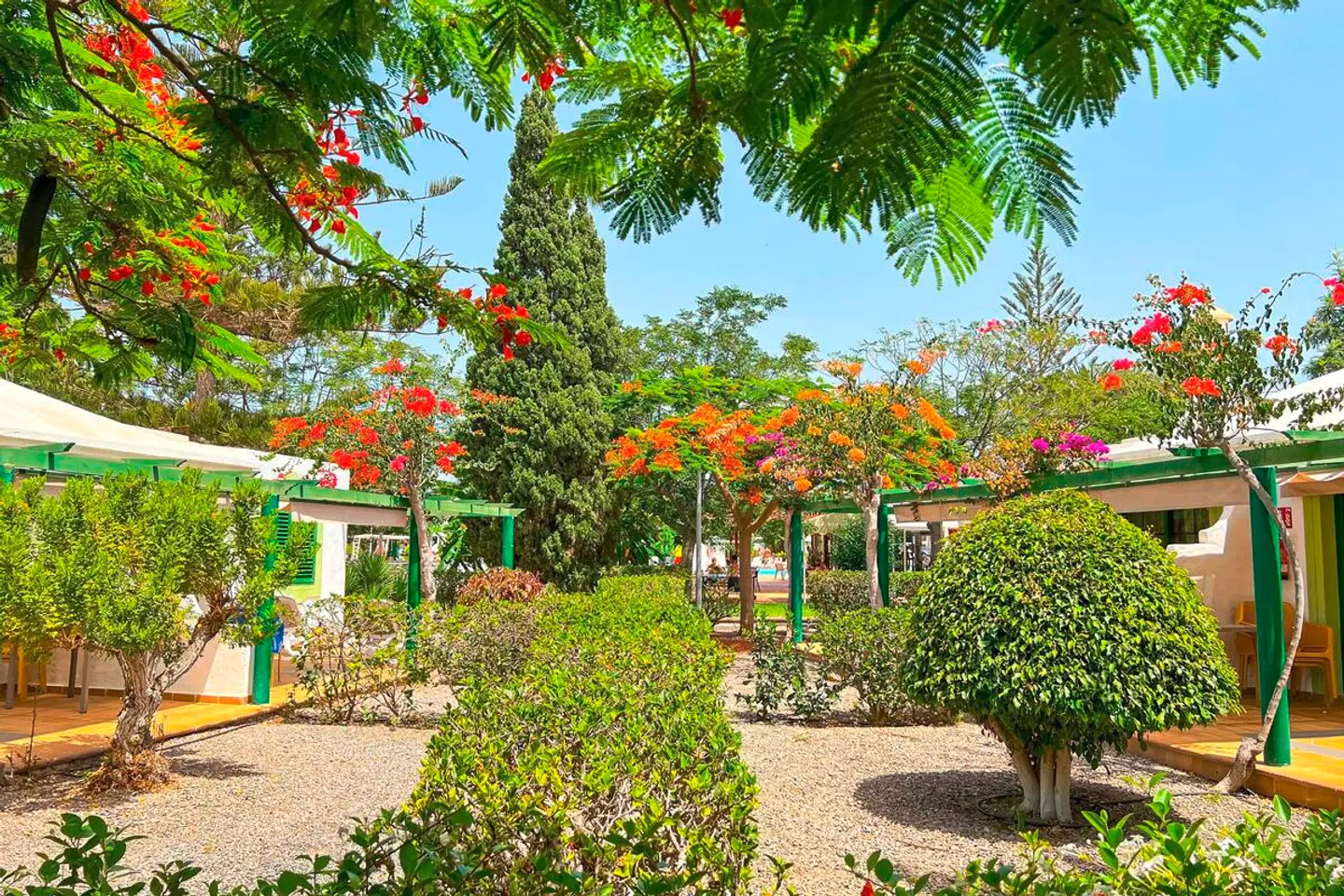 Cordial Sandy Golf Garten
