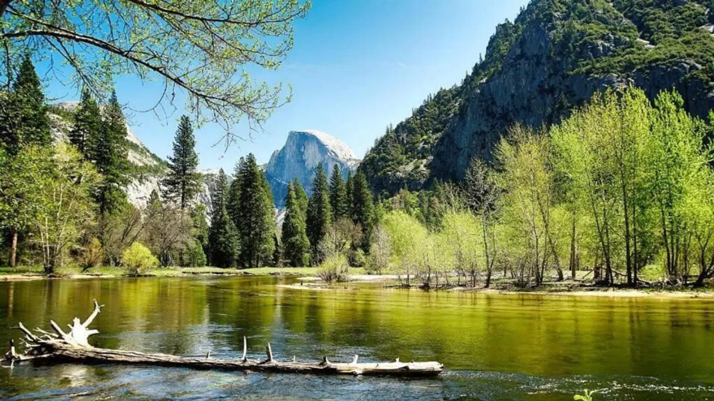 The Ahwahnee Hotel LANDSCAPE