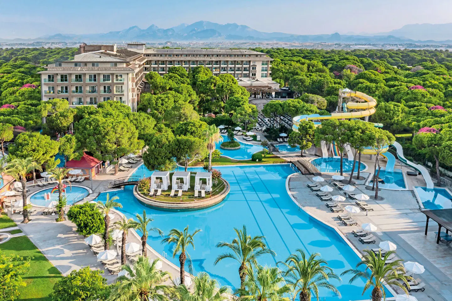 Papillon Ayscha OUTDOOR_POOL