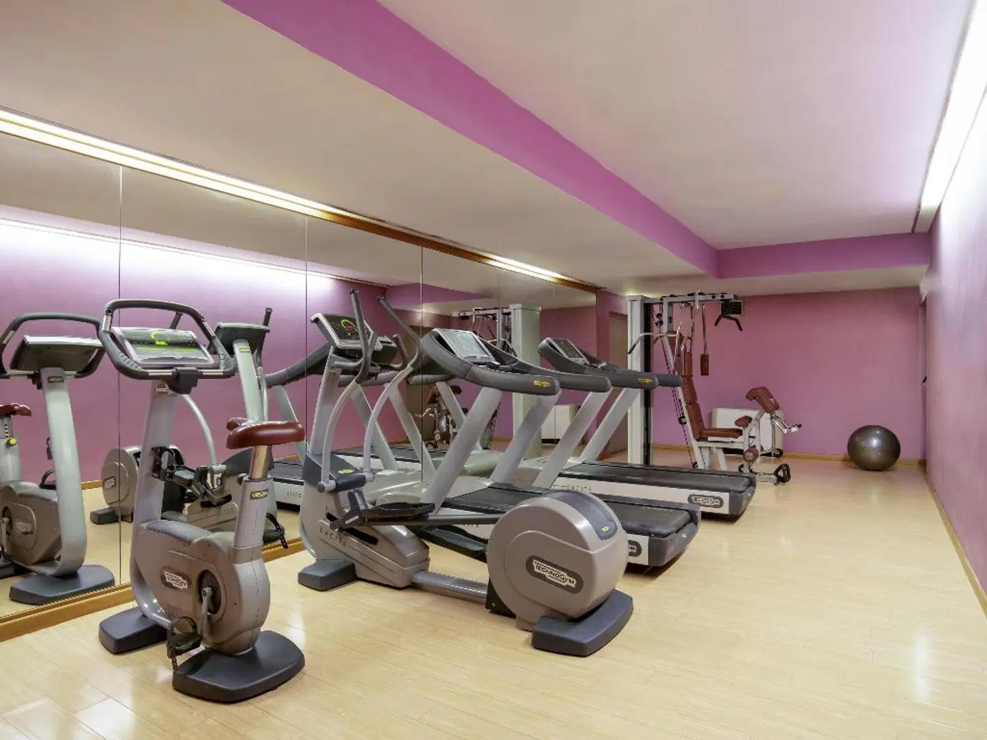 Mercure Roma West SPORTS_AND_LEISURE