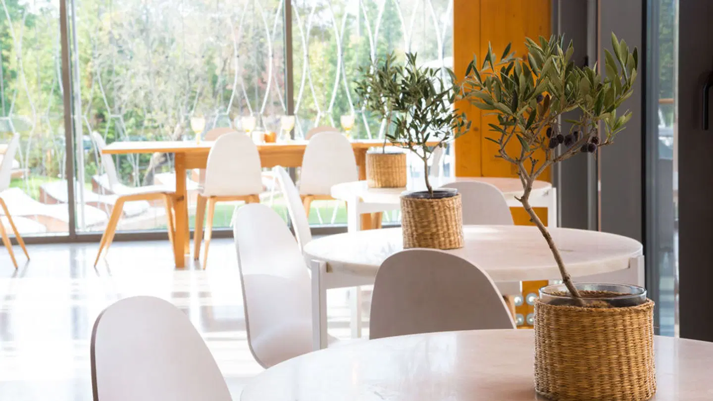 OZADI Tavira Hotel Restaurant
