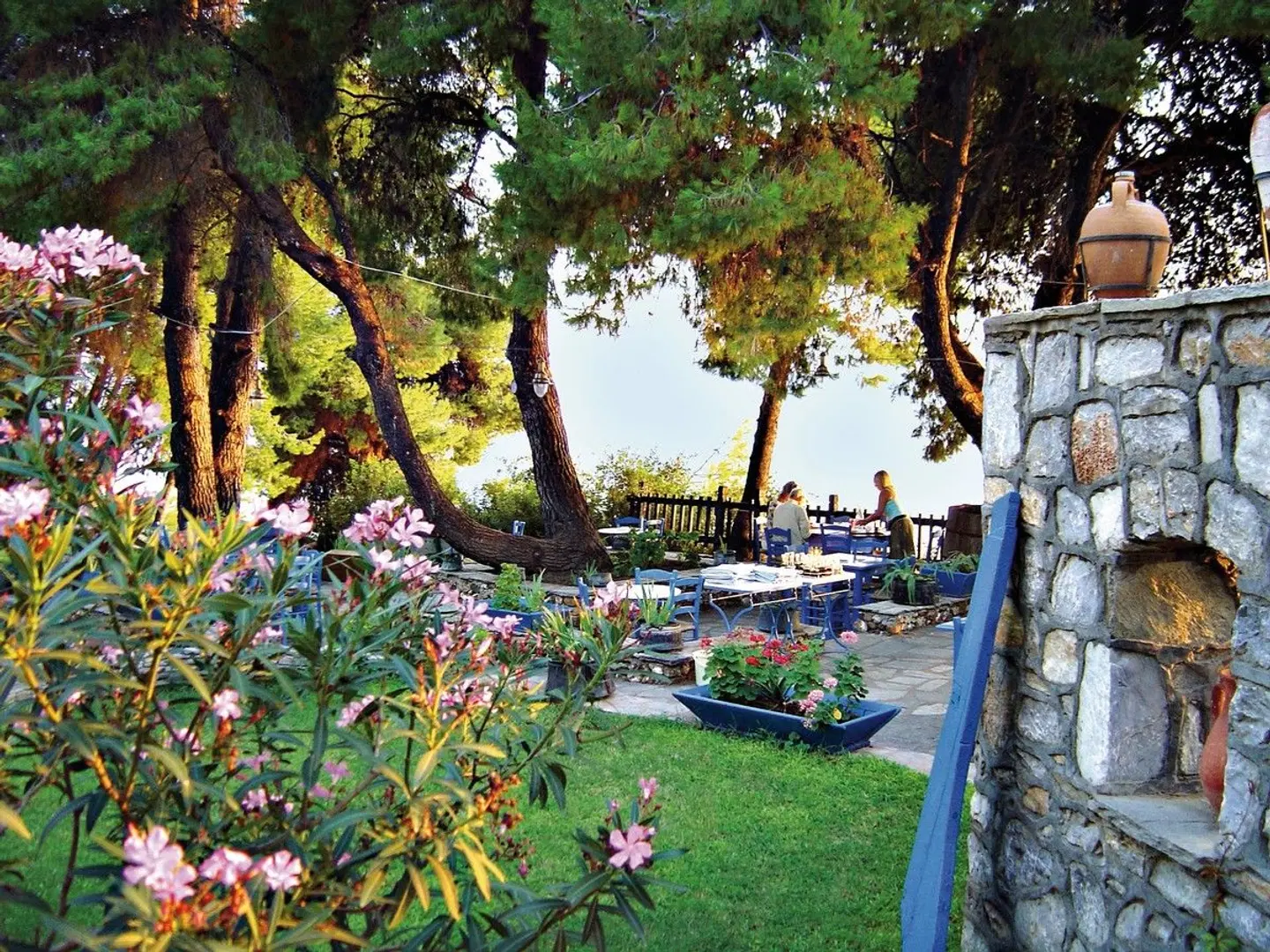 Virginia GARDEN