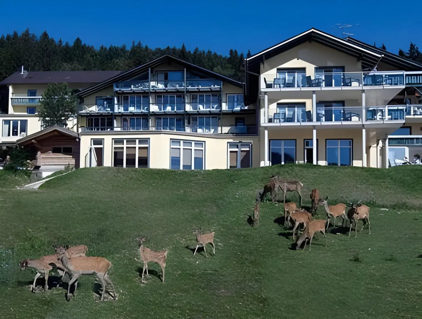 Reblinger Hof Tiere