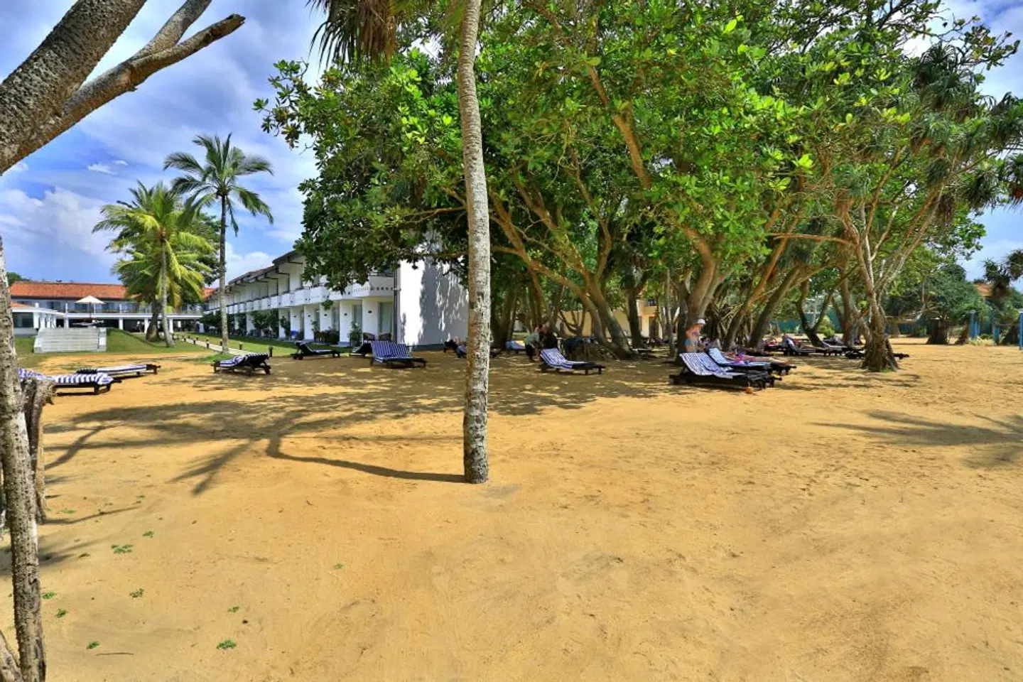 Hibiscus Beach Hotel & Villas SPORTS_AND_LEISURE