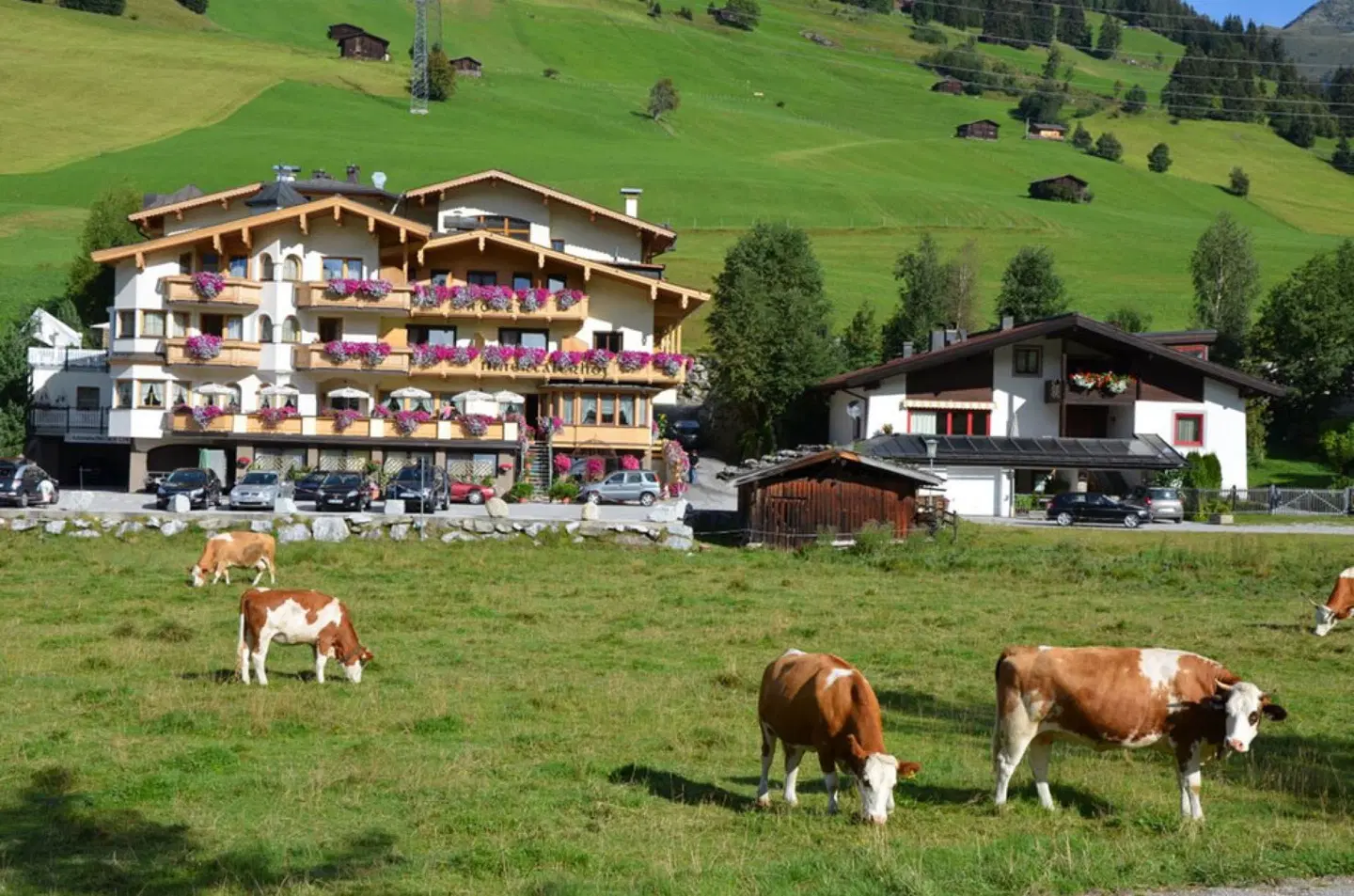 Wohlfühlhotel Innertalerhof Tiere