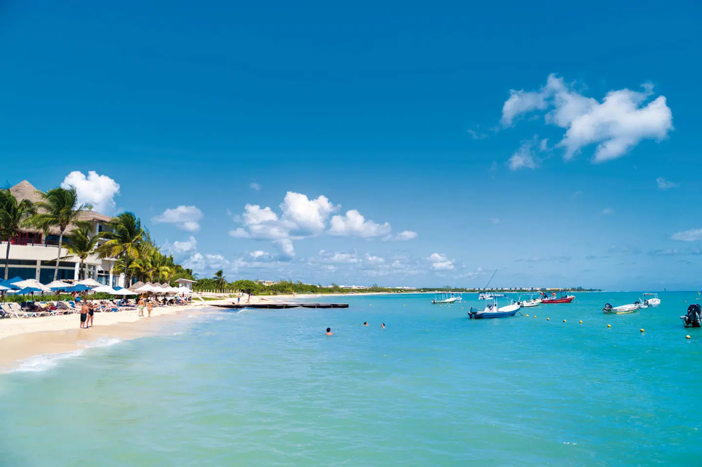 The Reef Coco Beach LANDSCAPE