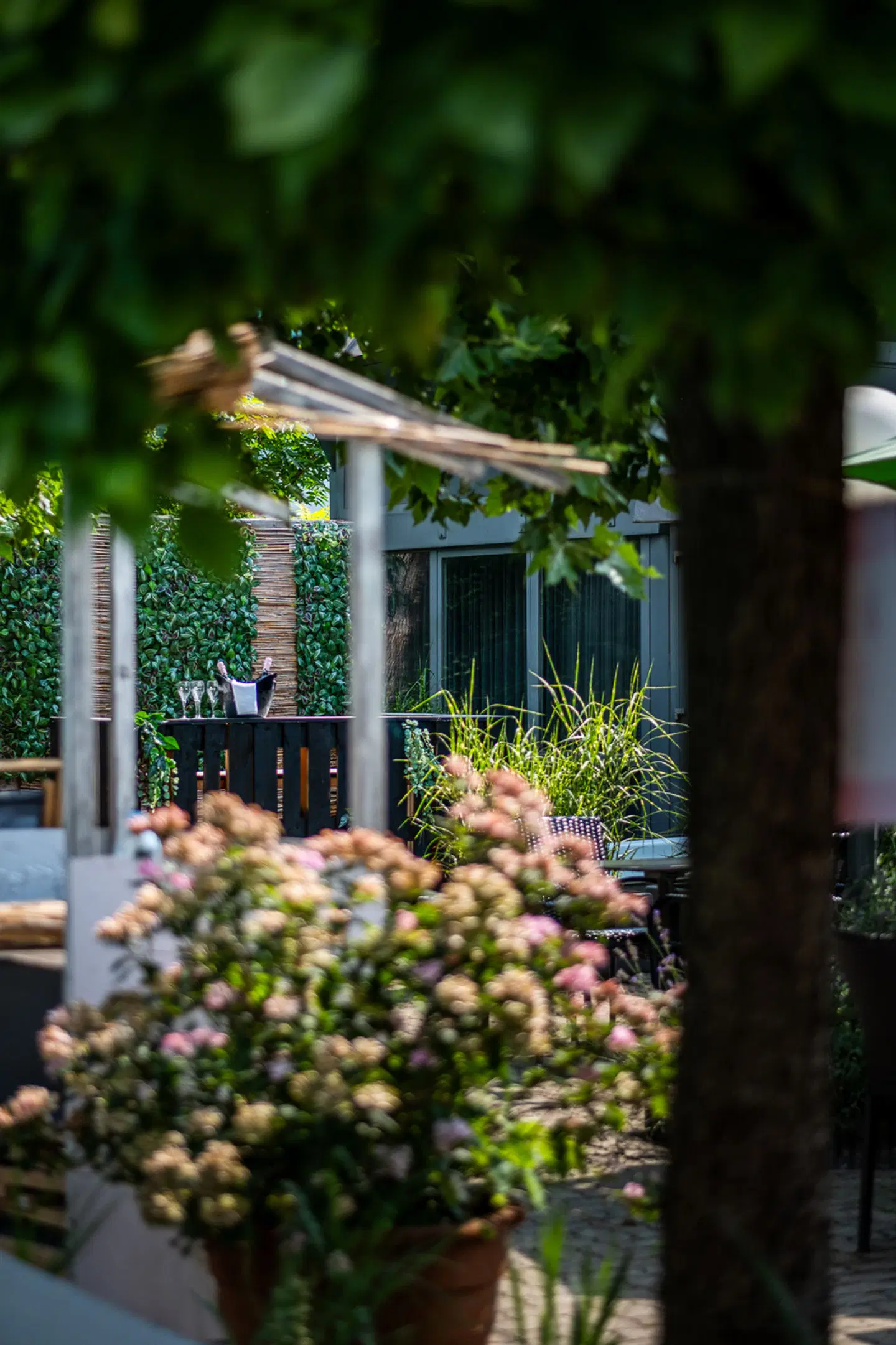 ibis Styles Linz Hotel Garten