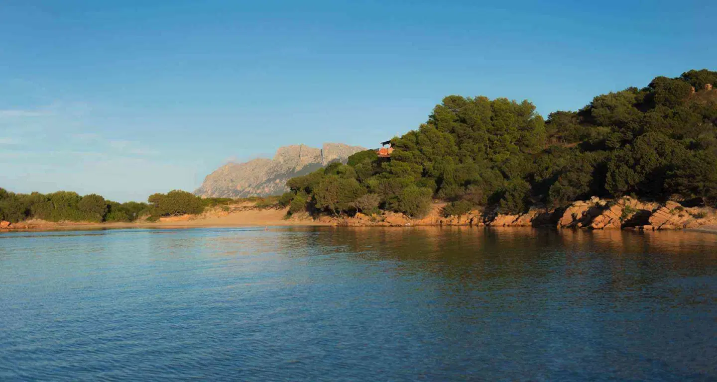 Ollastu LANDSCAPE