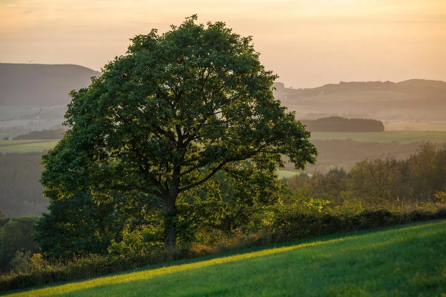 Parkhotel Schmallenberg LANDSCAPE