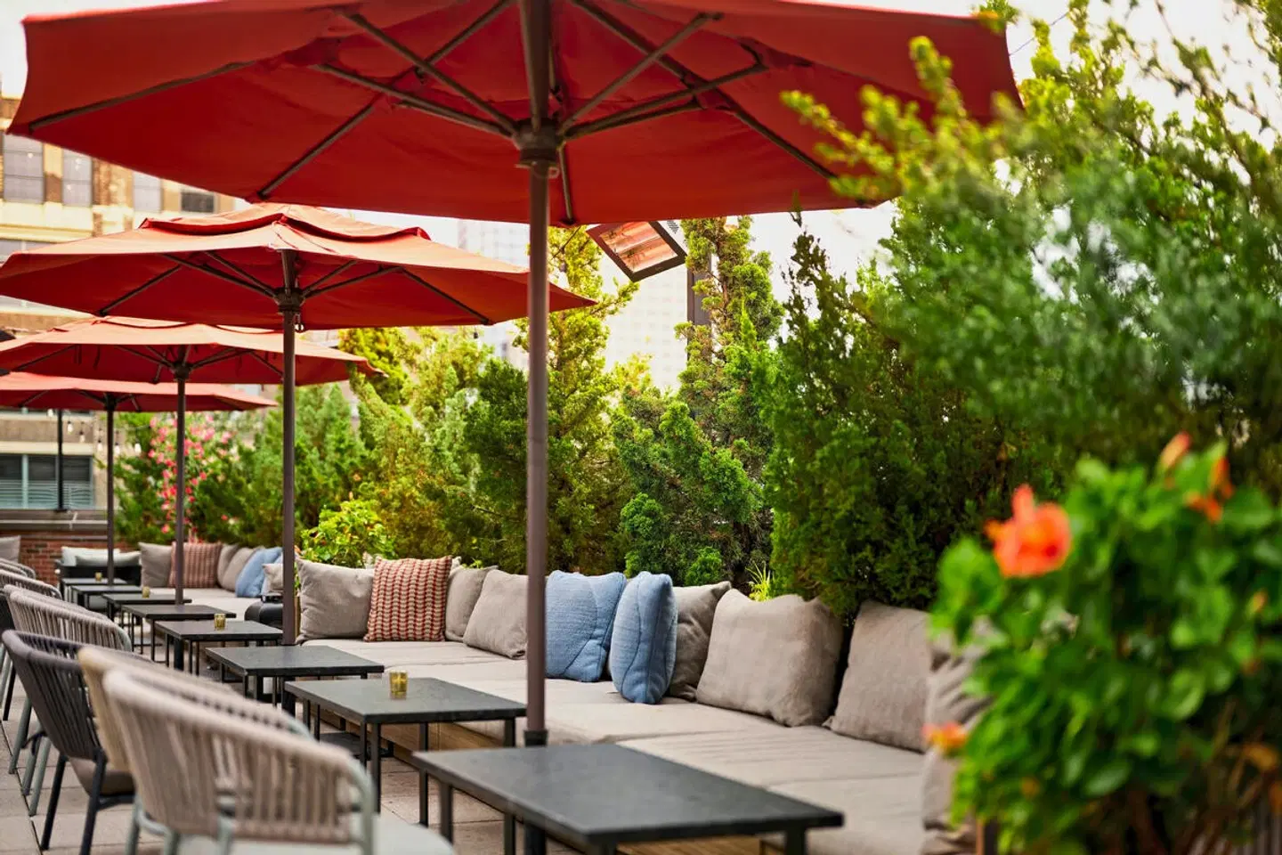 Arlo SoHo Terrasse