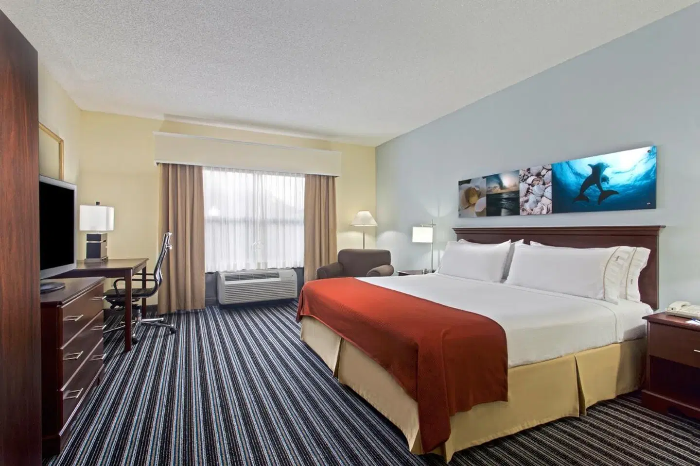 Holiday Inn Express Clearwater North Dunedin ROOM_EXAMPLE