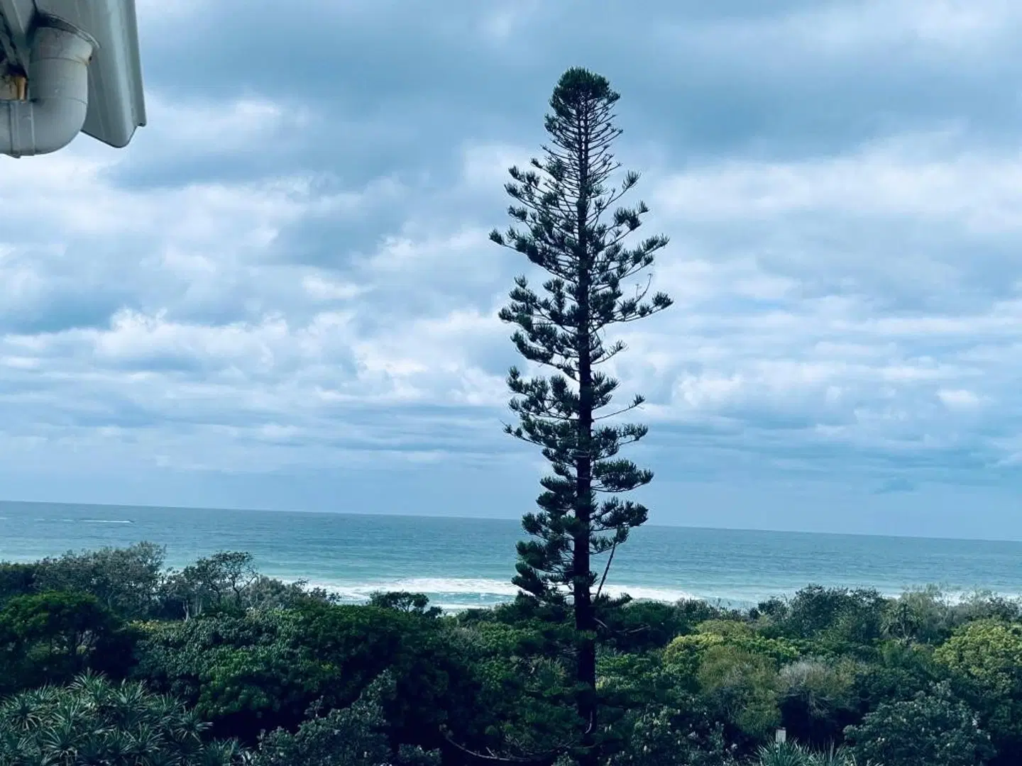 Horizons At Peregian LANDSCAPE