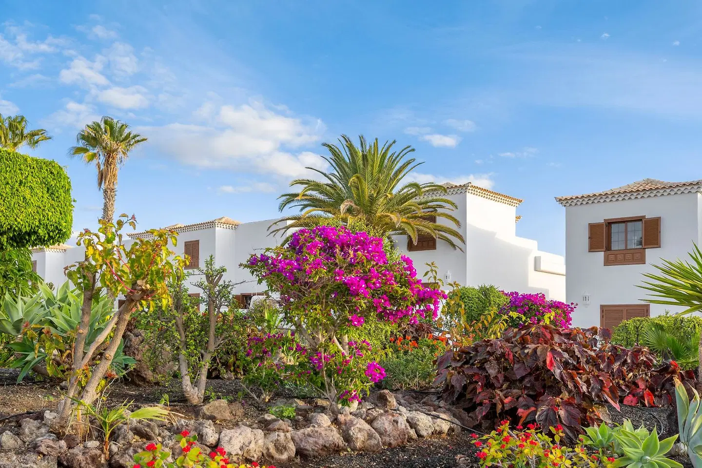 Royal Tenerife Country Club Garten