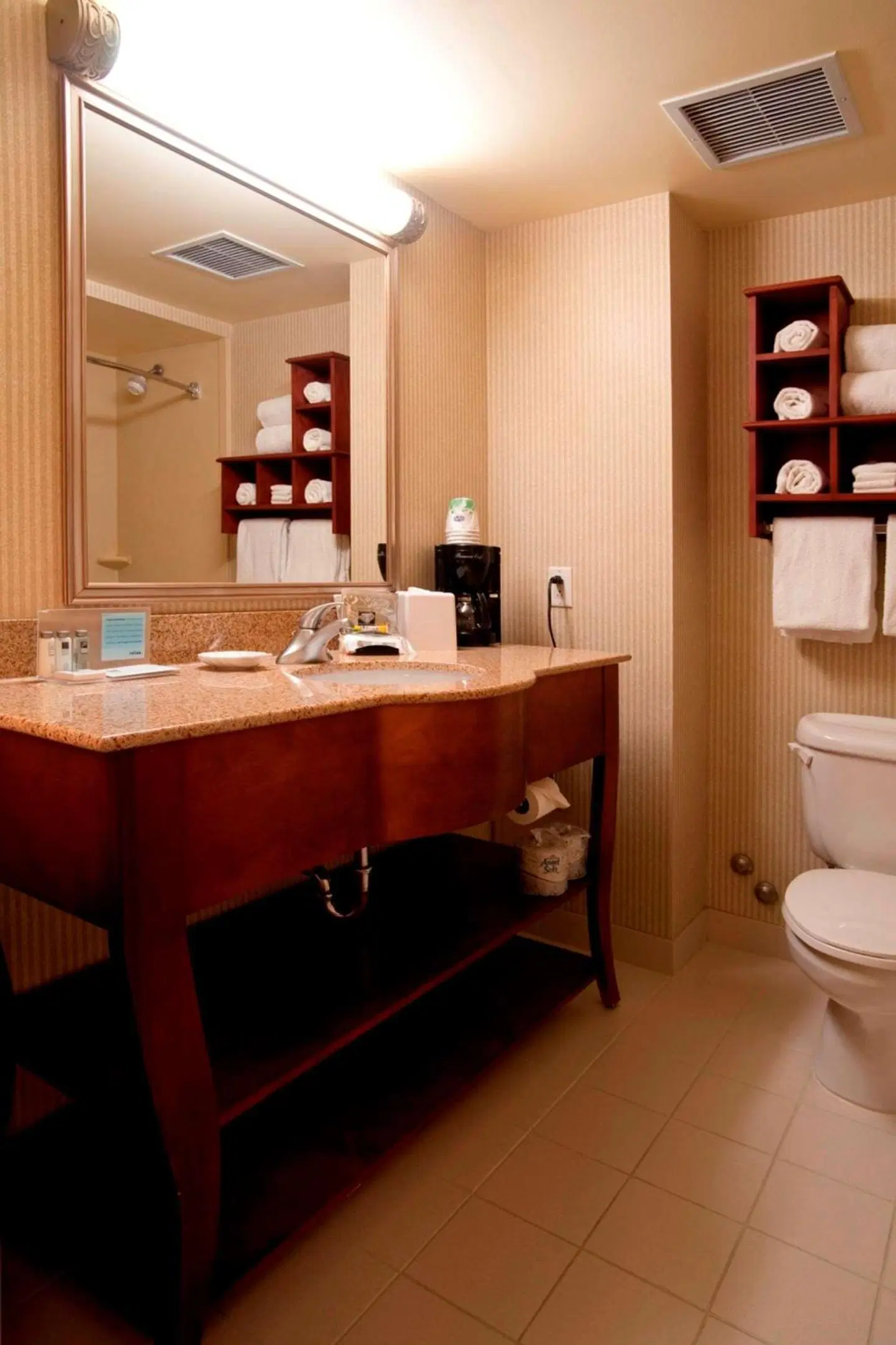 Hampton Inn by Hilton Toronto-Mississauga West Badezimmer