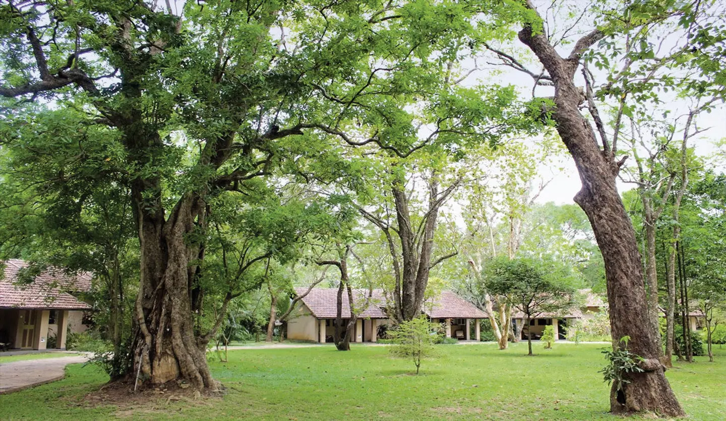 Sigiriya Village Garten