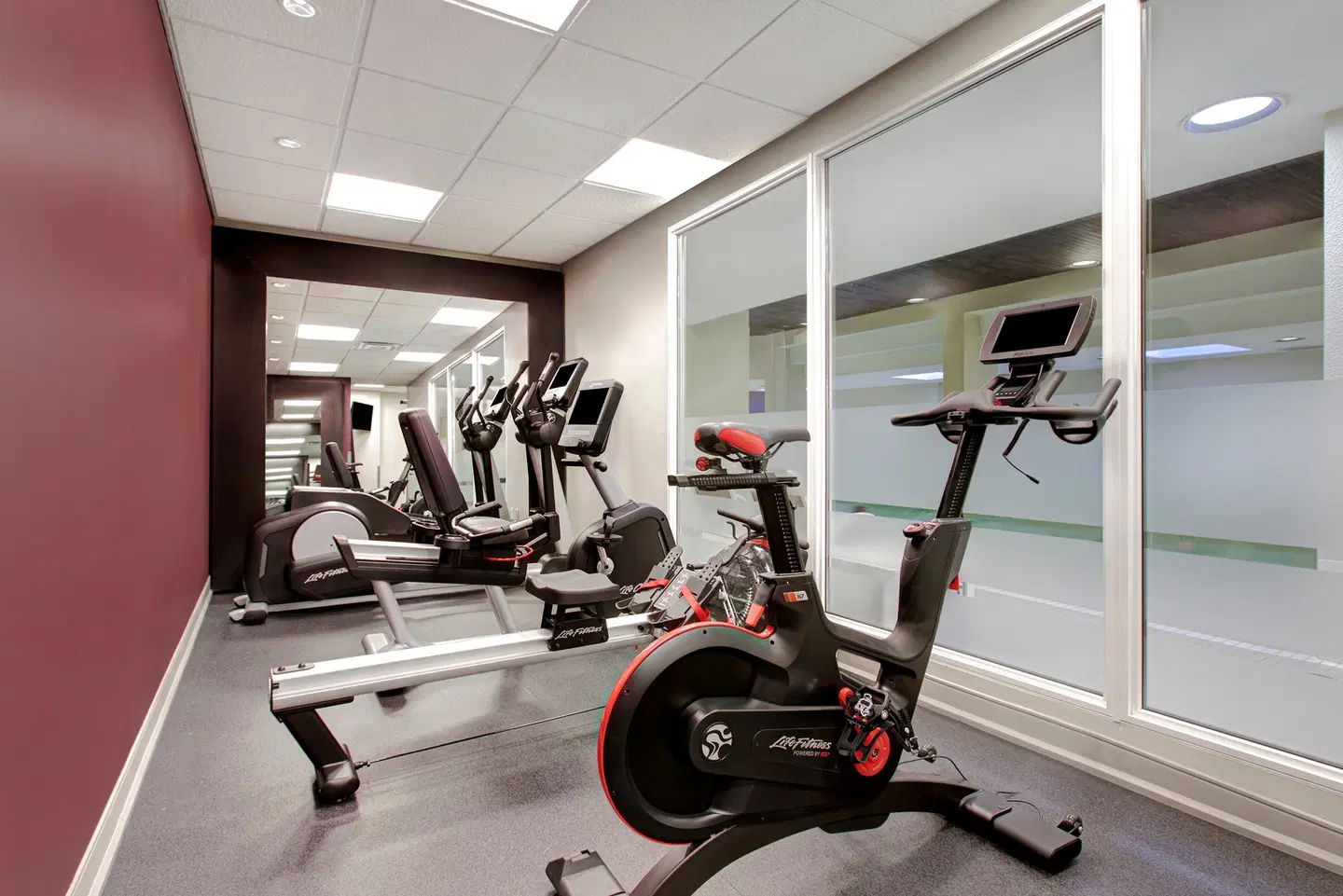 DoubleTree by Hilton Toronto Downtown SPORTS_AND_LEISURE