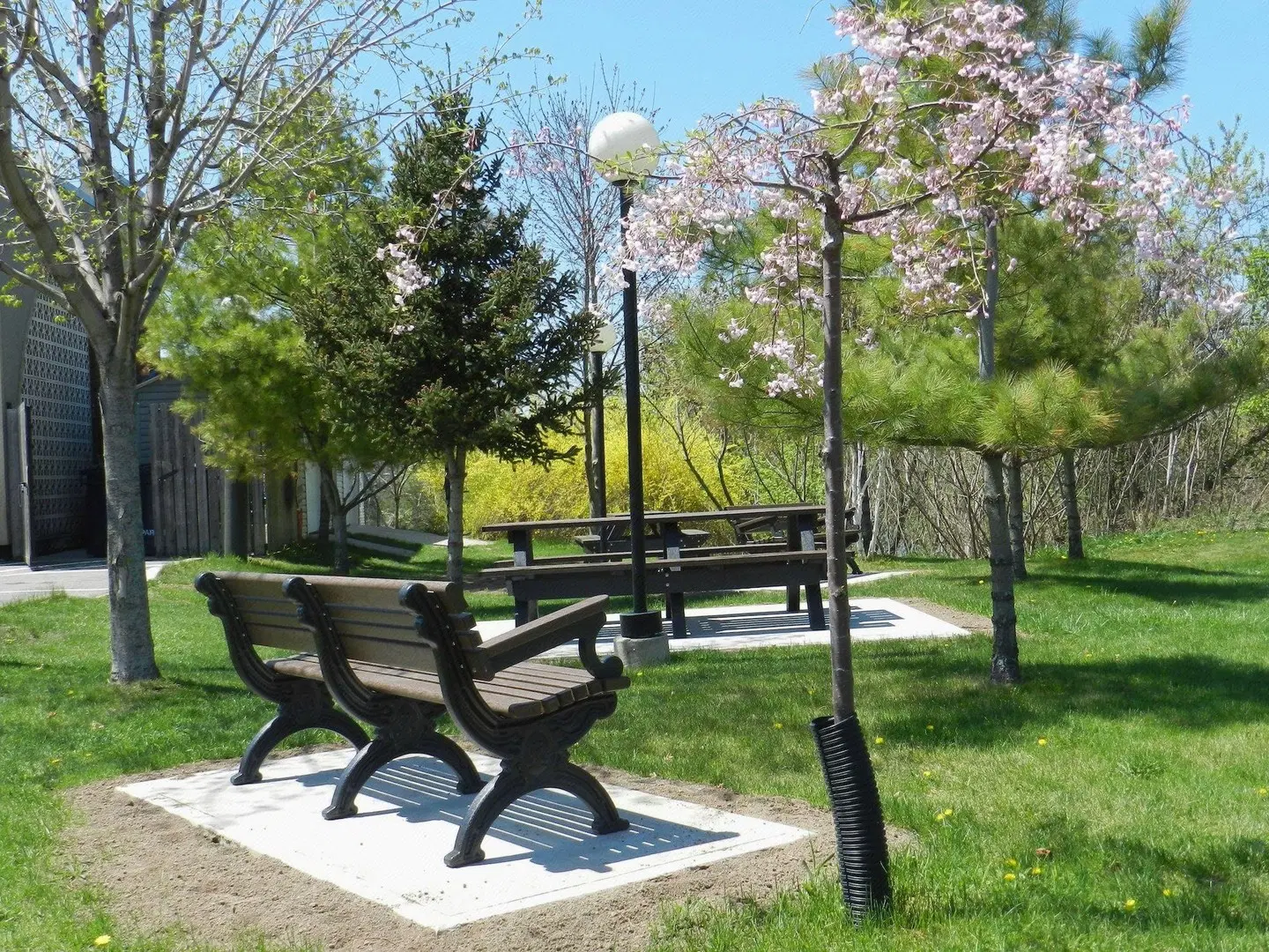 Capri Inn Garten