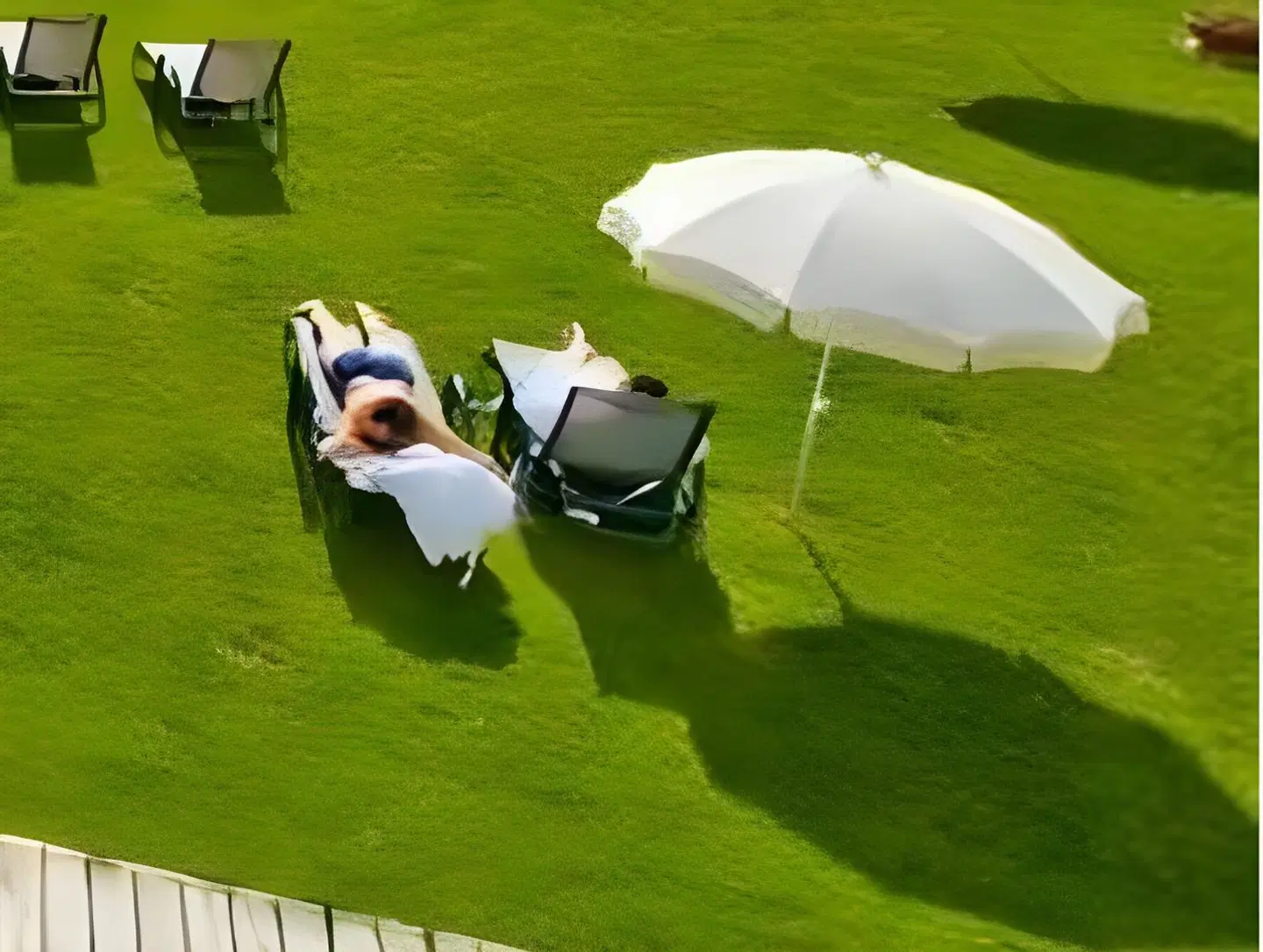 Landhotel Mühlwaldhof SPORTS_AND_LEISURE