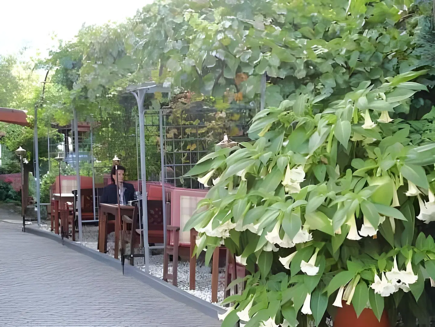 Moselromantik Hotel Am Panoramabogen Terrasse