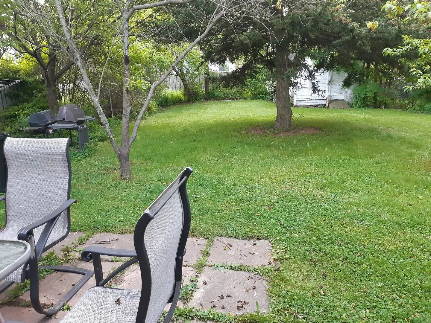 McMaster Accommodations Tiere