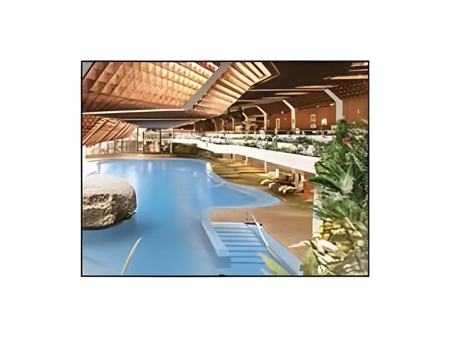 Olympia & Herbs MODEL_IMPRESSION