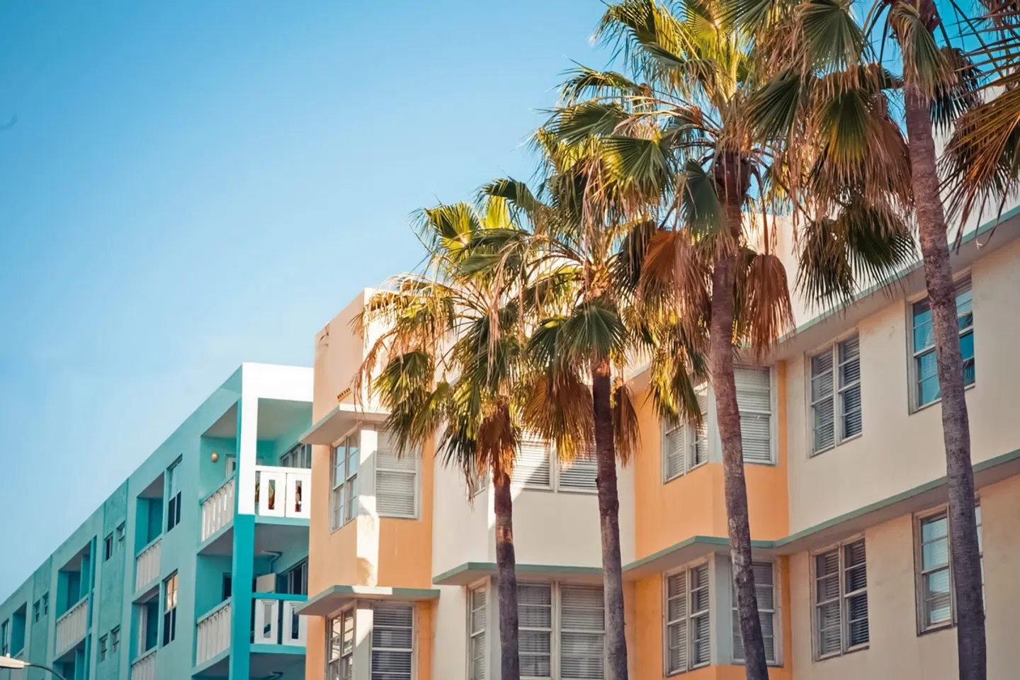 Megacity, Swing & Sun EXTERIOR