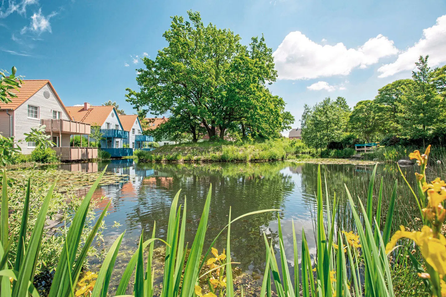 BEECH Resort Fleesensee LANDSCAPE