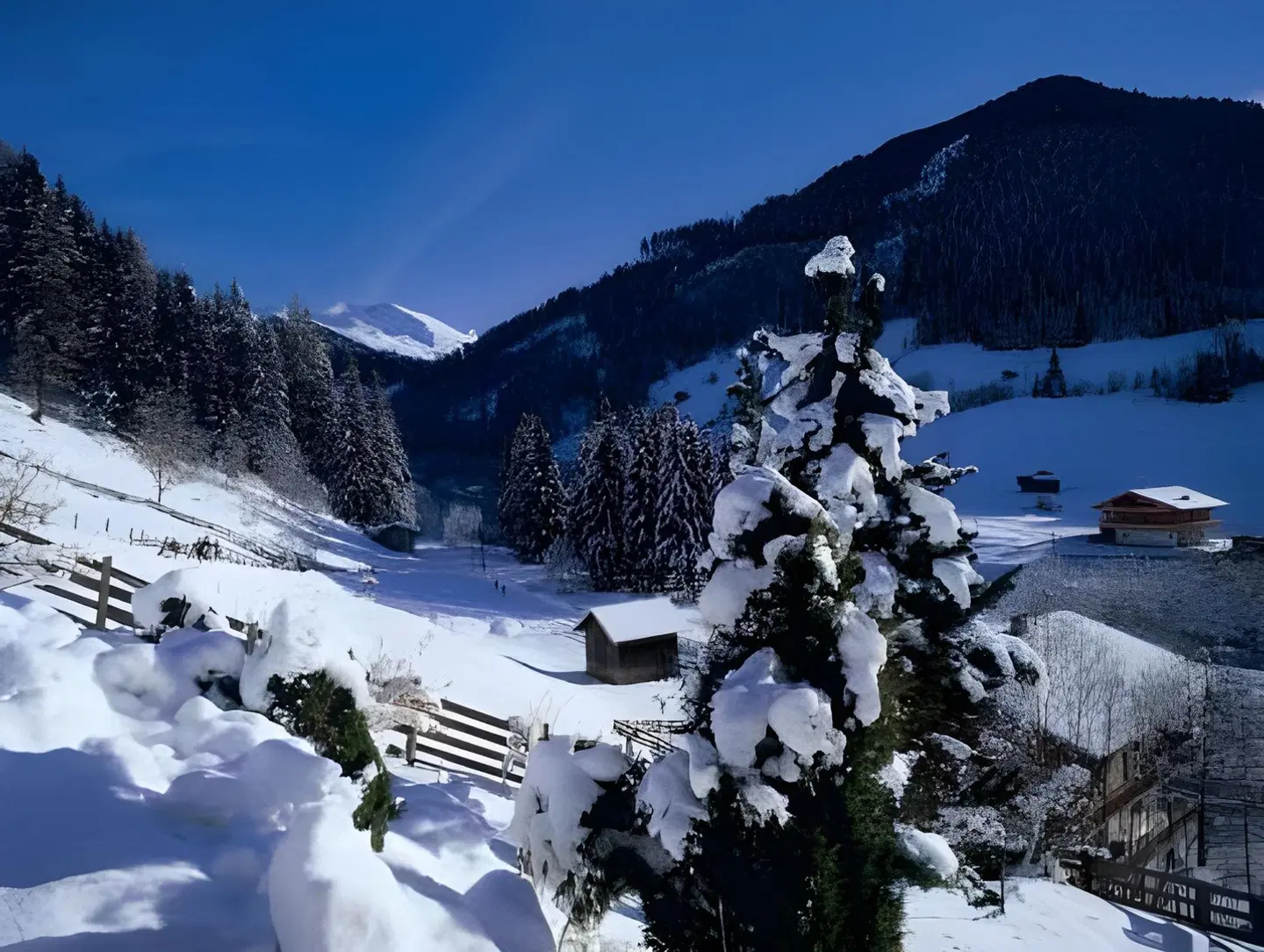 Haus Sonnwend LANDSCAPE