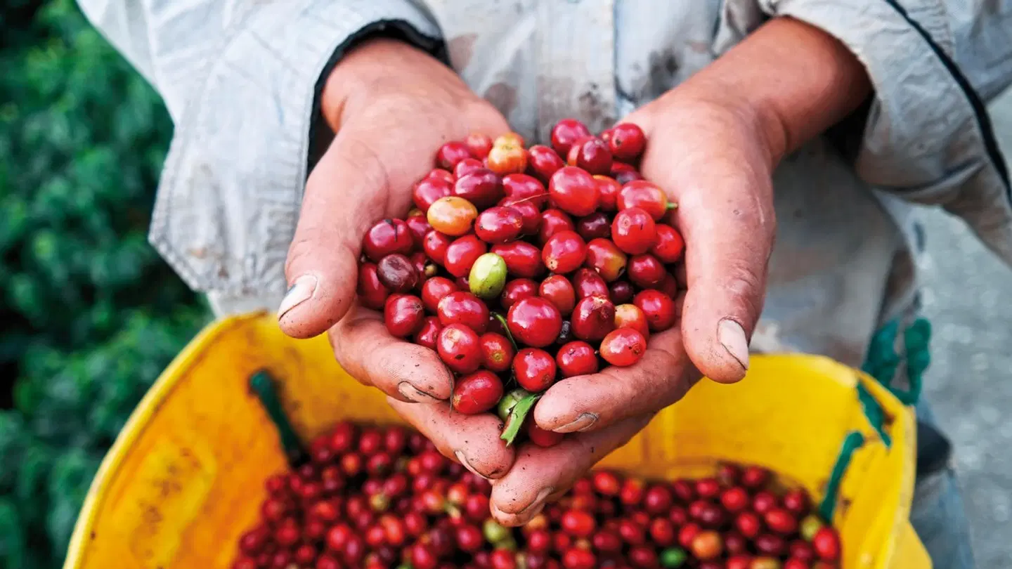 Panama & Kolumbien - von Kanalwundern, Kaffeekultur und Küstenzauber PEOPLE