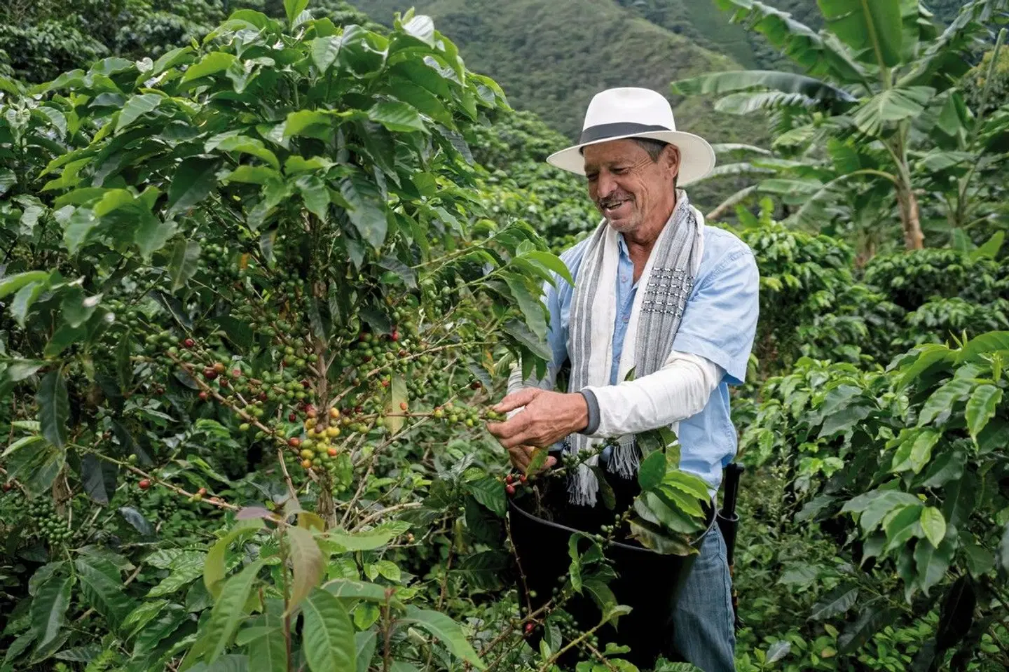 Panama & Kolumbien - von Kanalwundern, Kaffeekultur und Küstenzauber PEOPLE