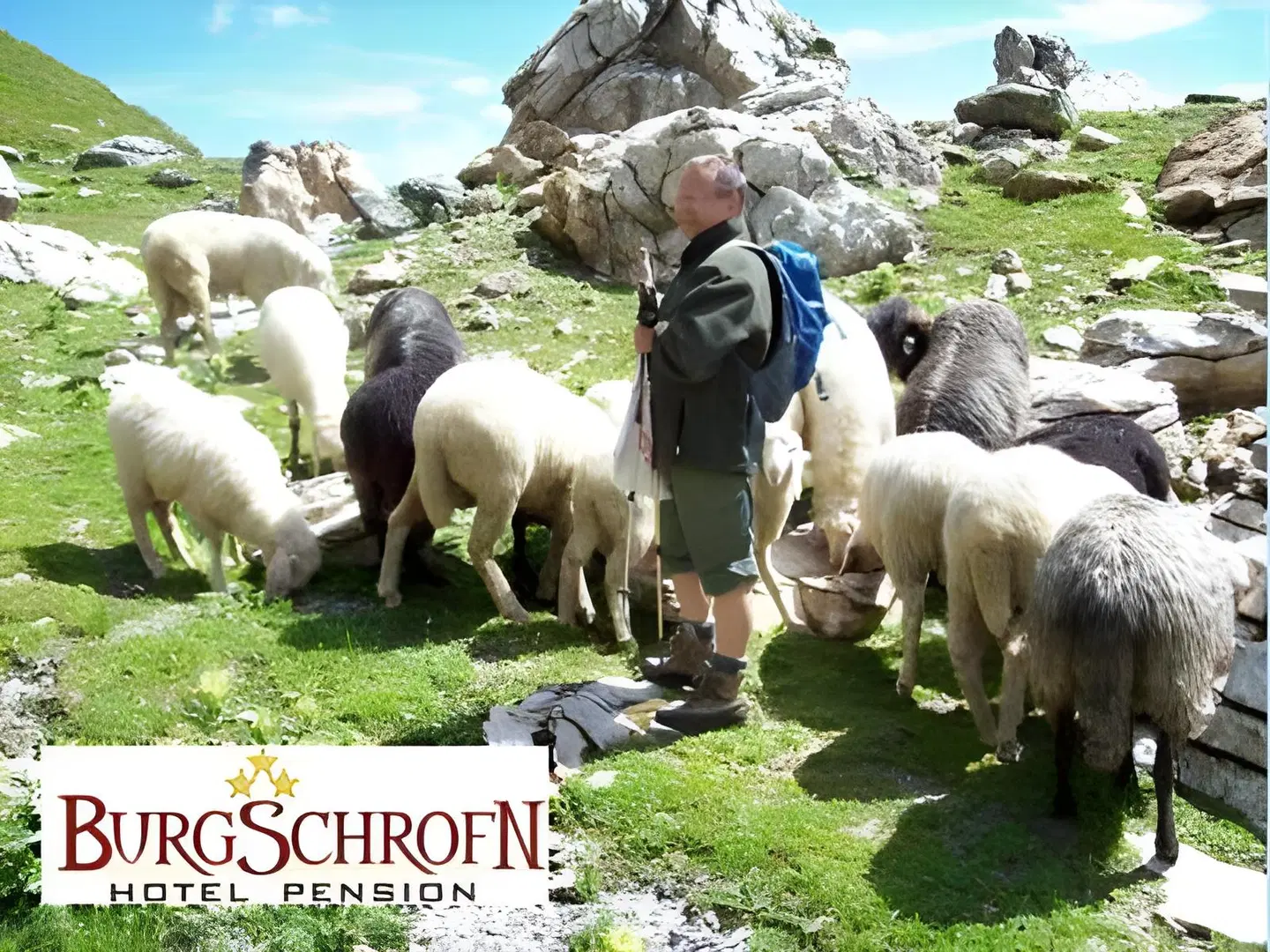 Hotel Burgschrofn Tiere