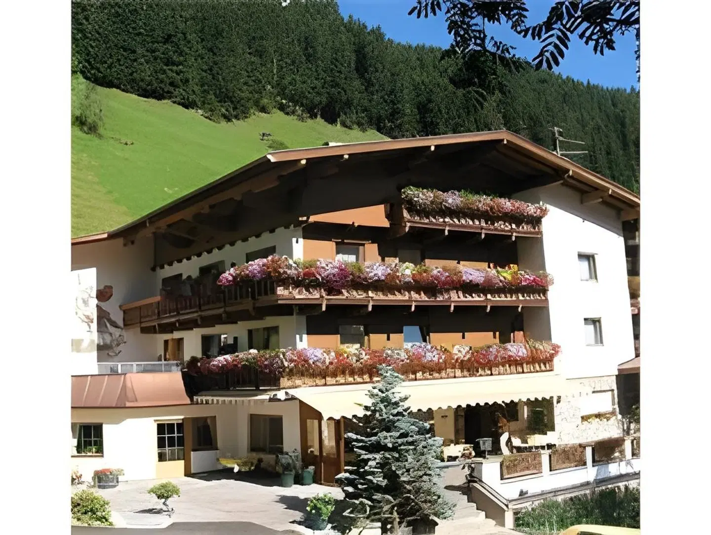 Hotel Pension Sonnleiten Bar