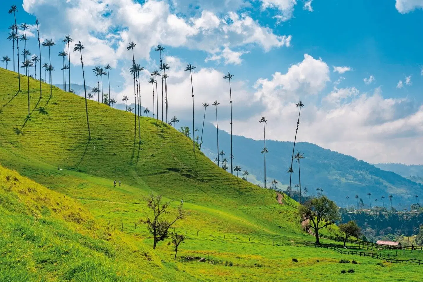 Panama & Kolumbien: Ein Traum von Vielfalt LANDSCAPE