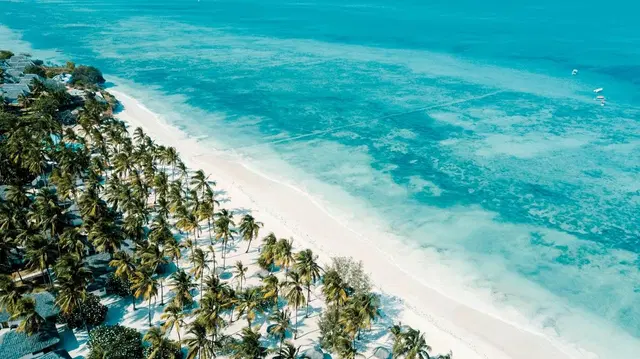 Jaz Elite Aurora Beach Strand