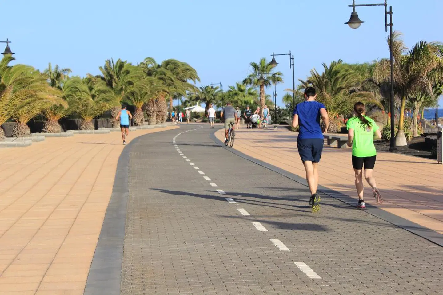 Apartamentos Arena Dorada LANDSCAPE