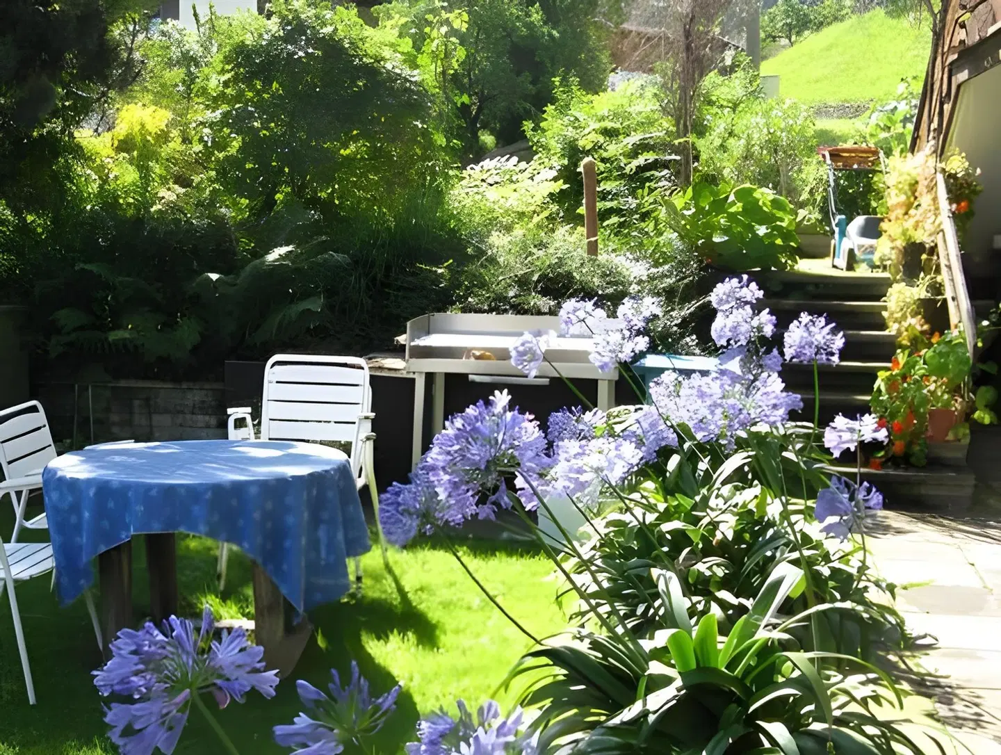Alpbach Apartments Garten
