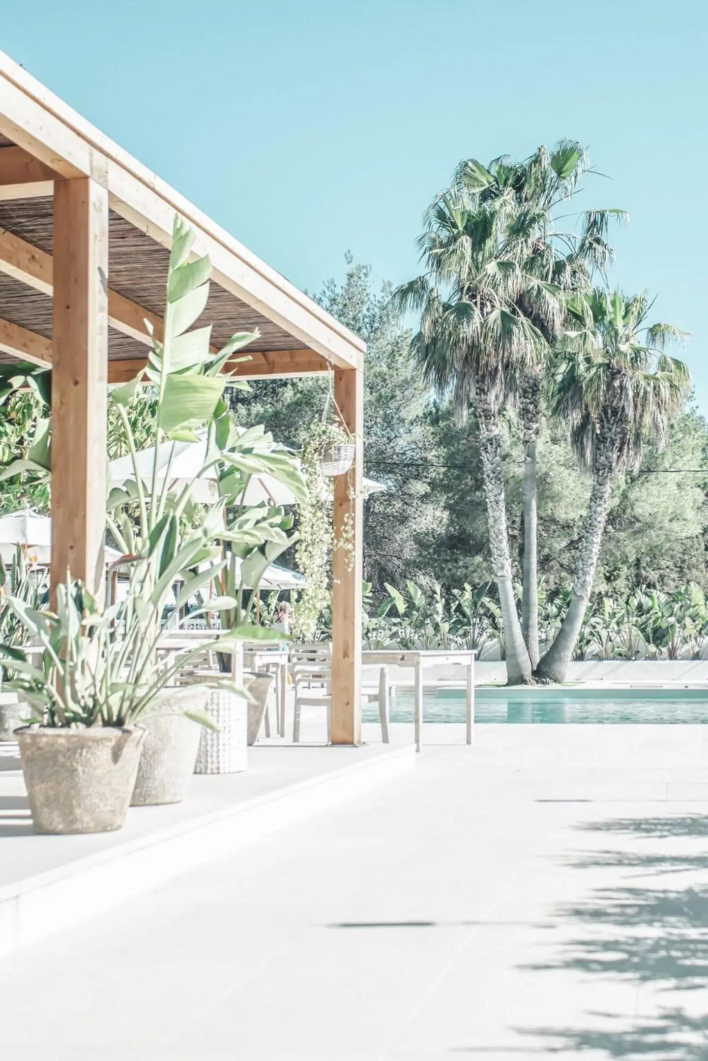 Las Mimosas Boutique & Spa Terrasse