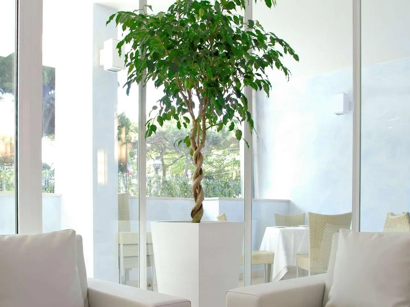 Mercure Rimini Lungomare HEALTH_BEAUTY