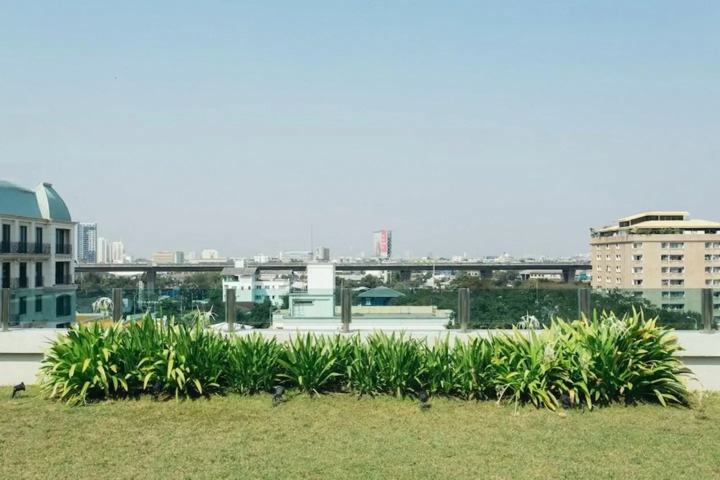 Thomson Residence LANDSCAPE