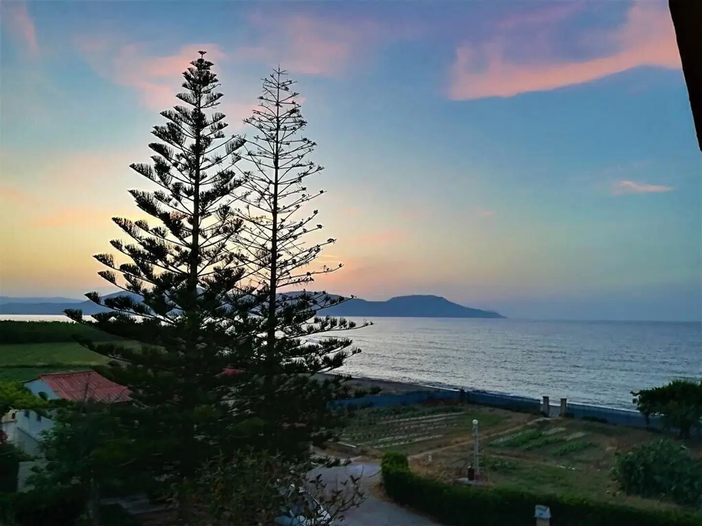 Musela Studios LANDSCAPE