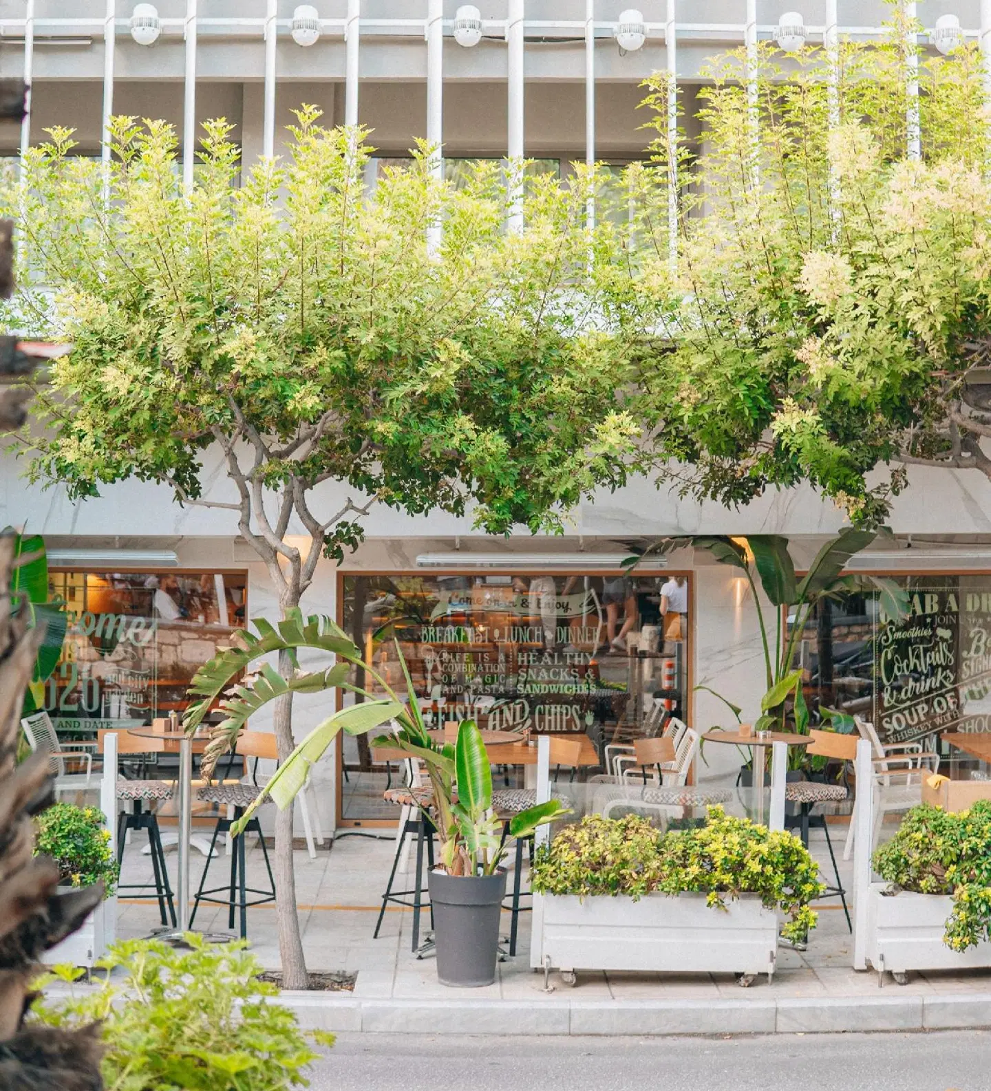 Olive Green Hotel EXTERIOR