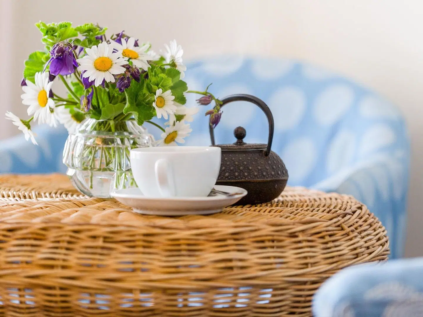 Seegarten HEALTH_BEAUTY