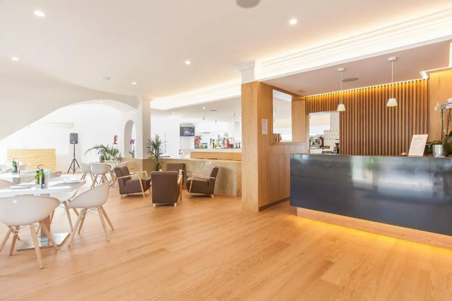 a10 Solecito LOUNGE_LOBBY
