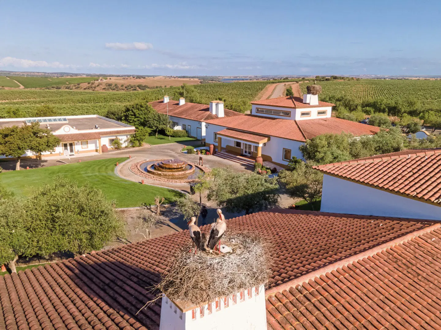 Vila Galé Alentejo Vineyards Terrasse